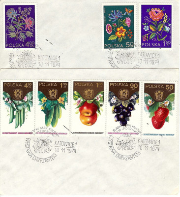 1974 [KO74 189] Katowice - Wystawa chryzantem